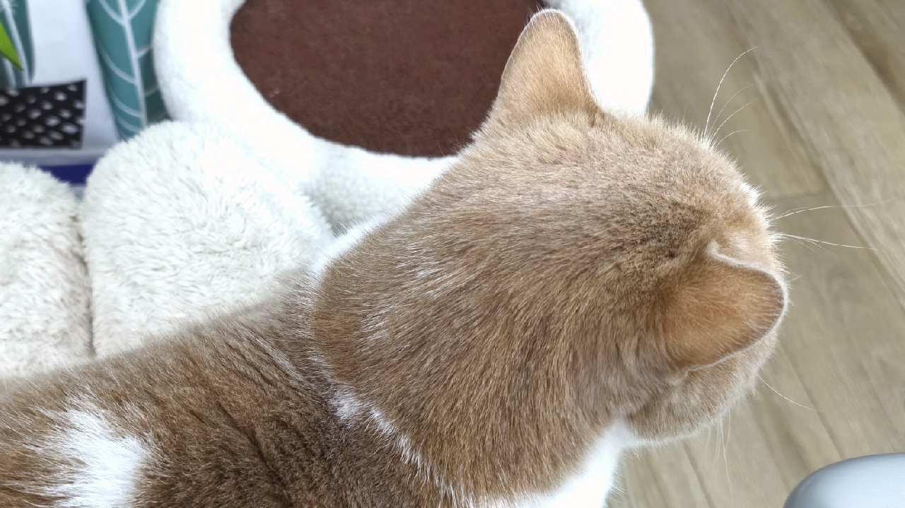 2026-03-23直播封面