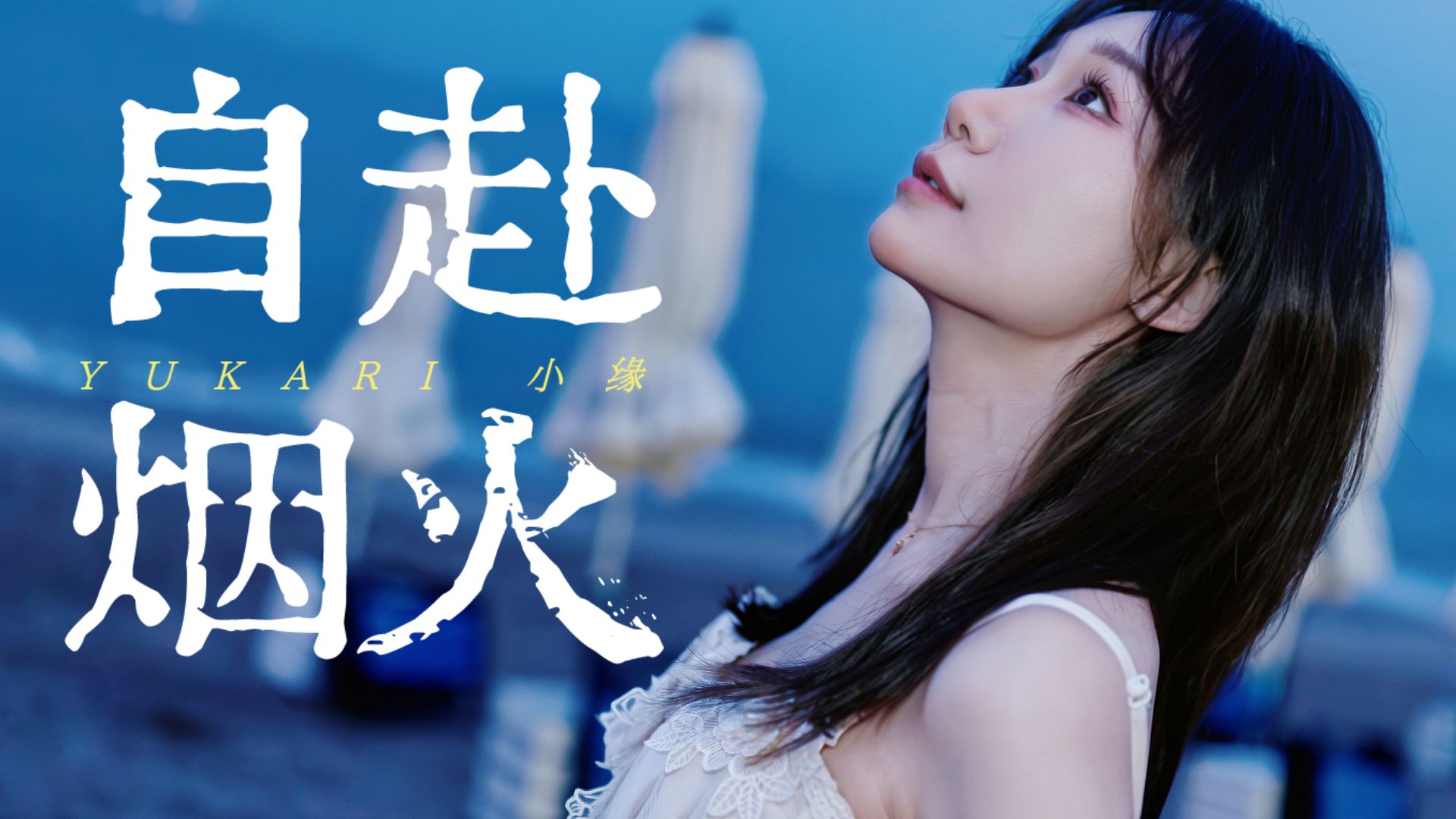 【小缘】自赴烟火封面