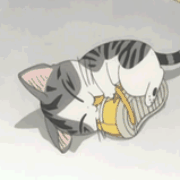 我的好爱莉希雅