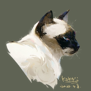 看见我请叫我快去练琴