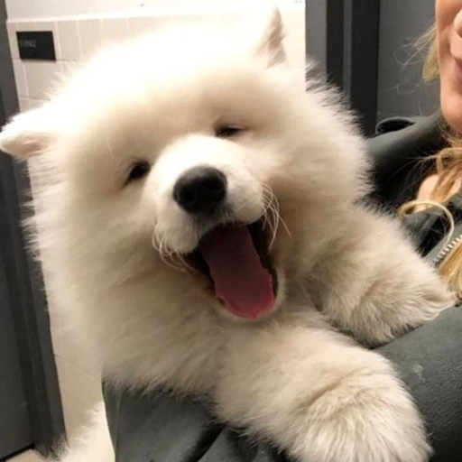 明晚去看星星吧