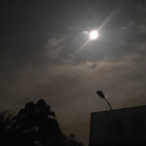 三尺夜色凉如水