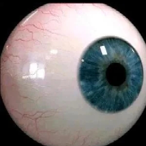 FFF团镰刀队队长