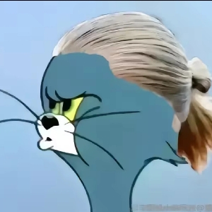 一只胖头鱼QvQ