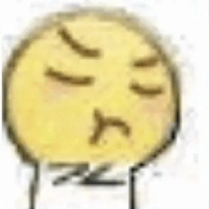 海拉鲁的异乡人